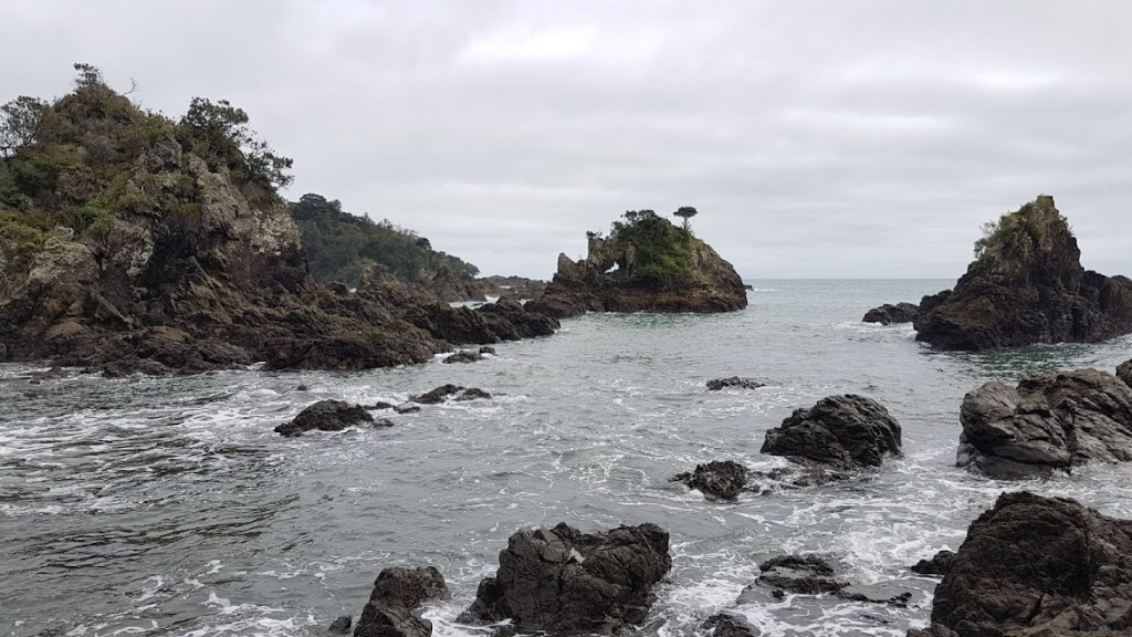 The beautiful East Coast of New Zealand was my inspiration 